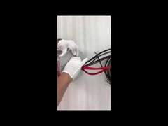 อีเธอร์เน็ตสลิปริง ECN000-21P-06S-01EG